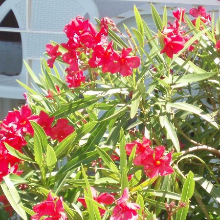 סנג' Apartment Antonija מראה חיצוני תמונה