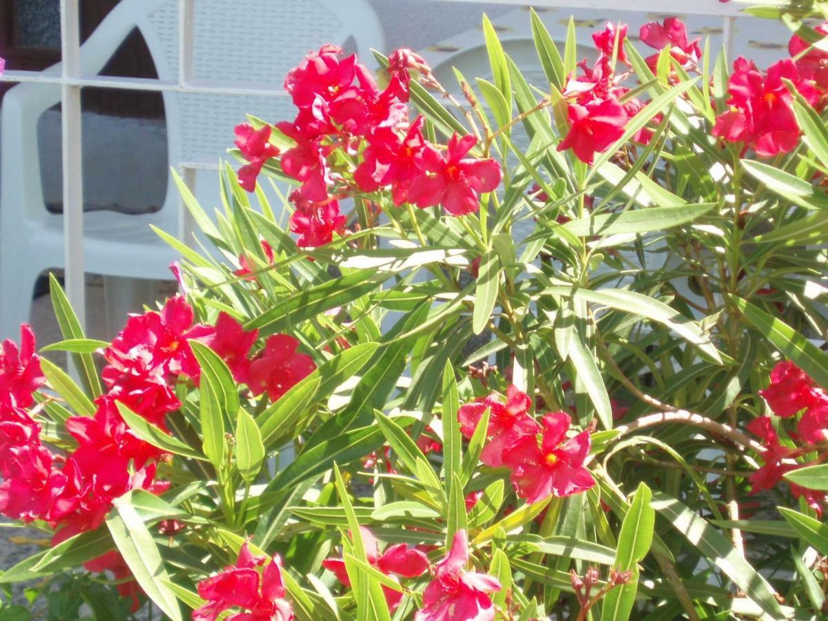 סנג' Apartment Antonija מראה חיצוני תמונה