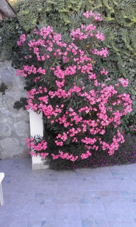 סנג' Apartment Antonija מראה חיצוני תמונה