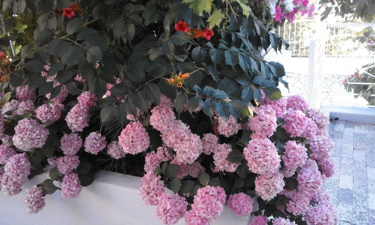 סנג' Apartment Antonija מראה חיצוני תמונה