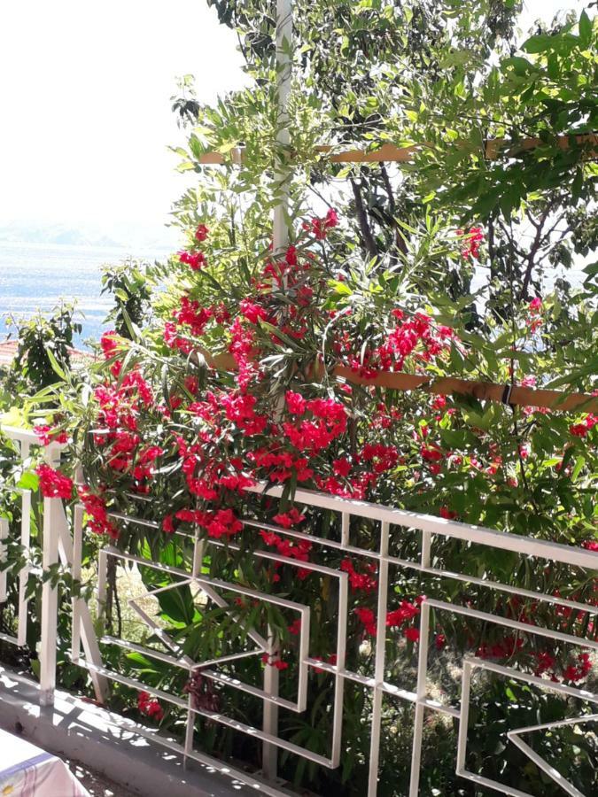 סנג' Apartment Antonija מראה חיצוני תמונה